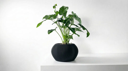 Aeris Blumentopf