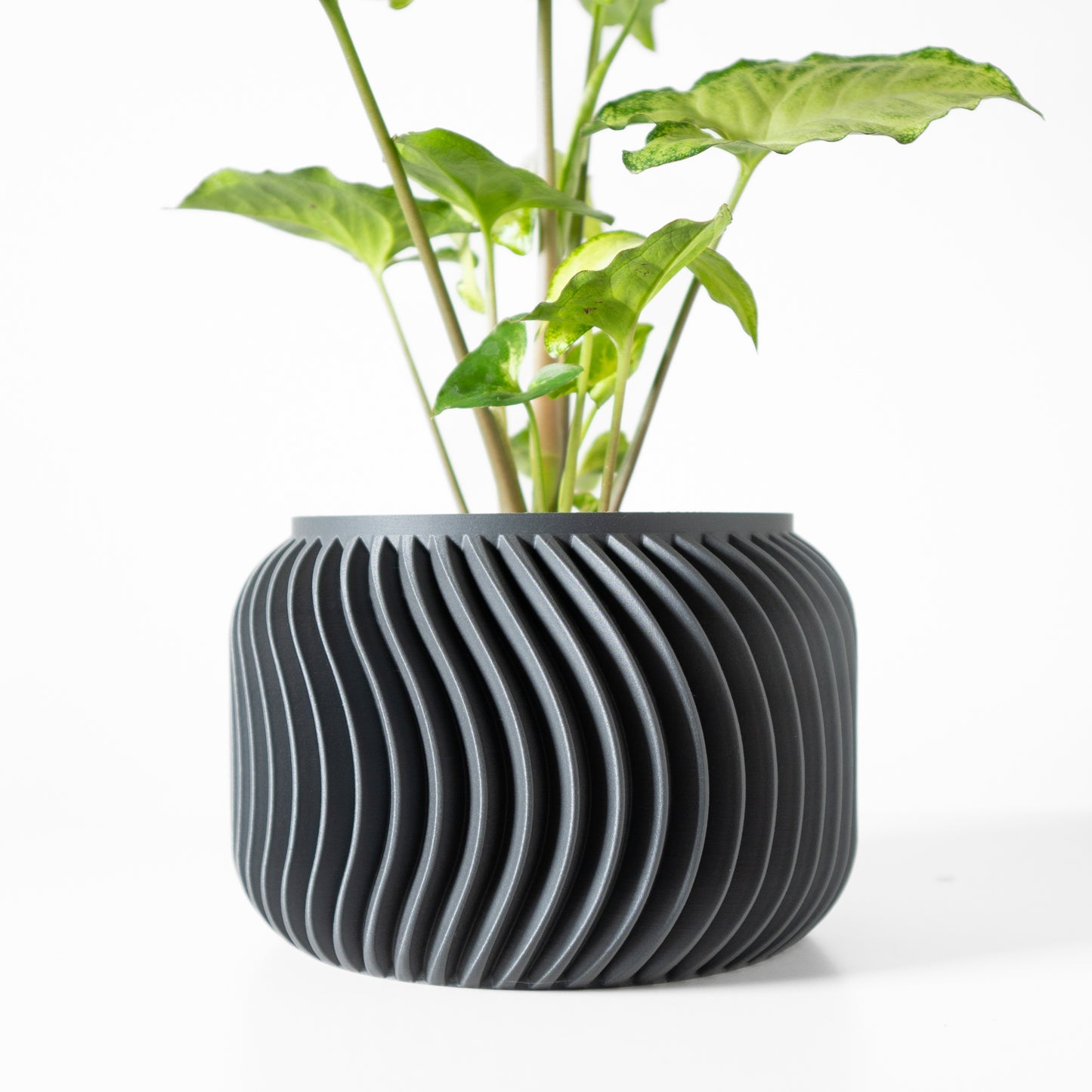 Vela Blumentopf