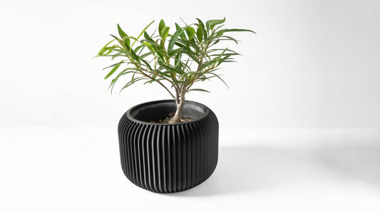 Caela Blumentopf