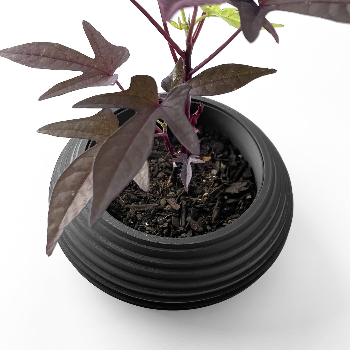 Orbit Blumentopf