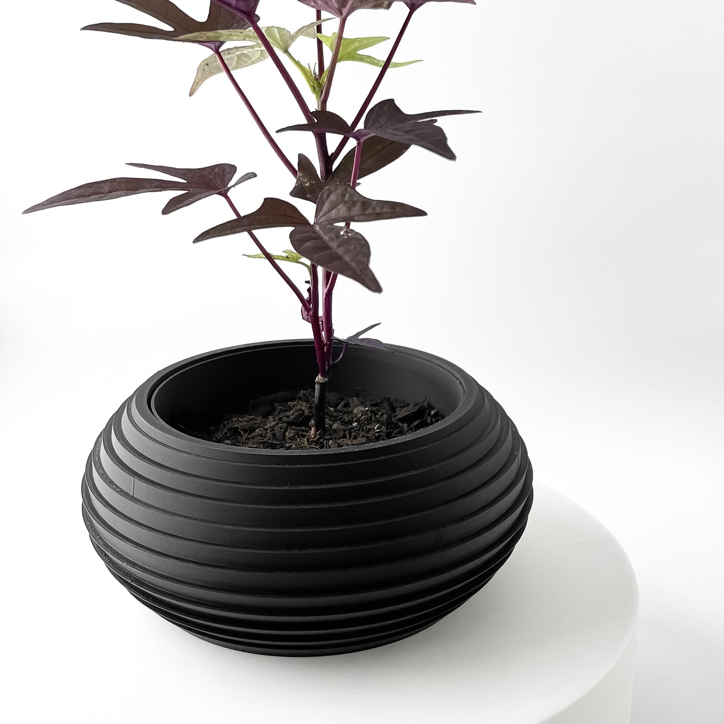 Orbit Blumentopf