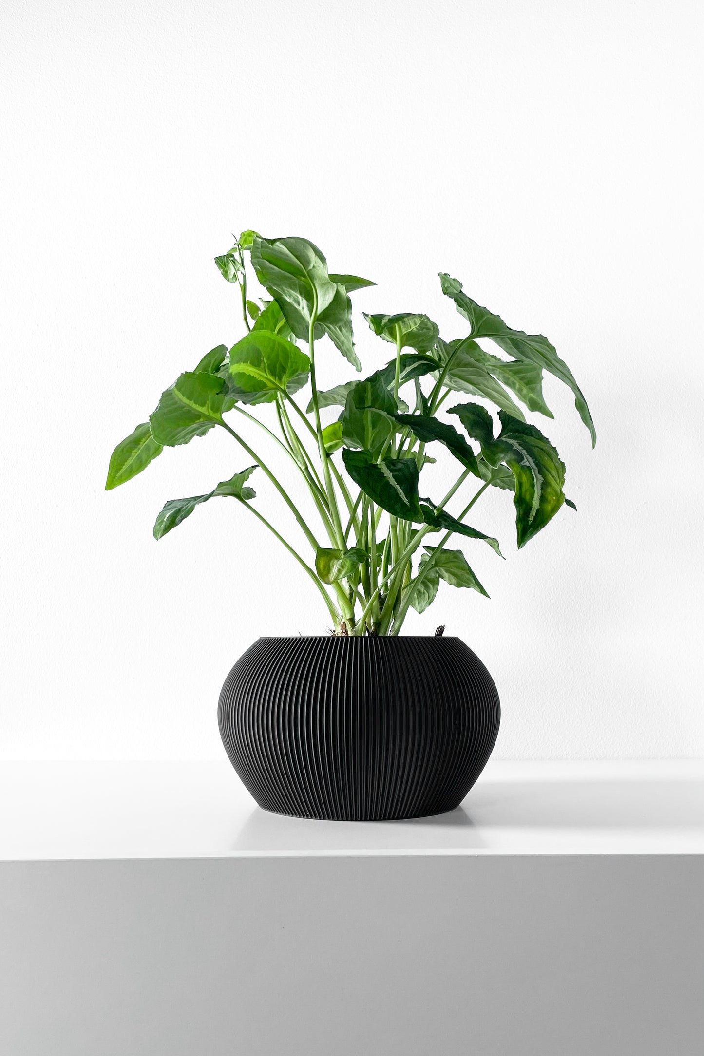 Aeris Blumentopf
