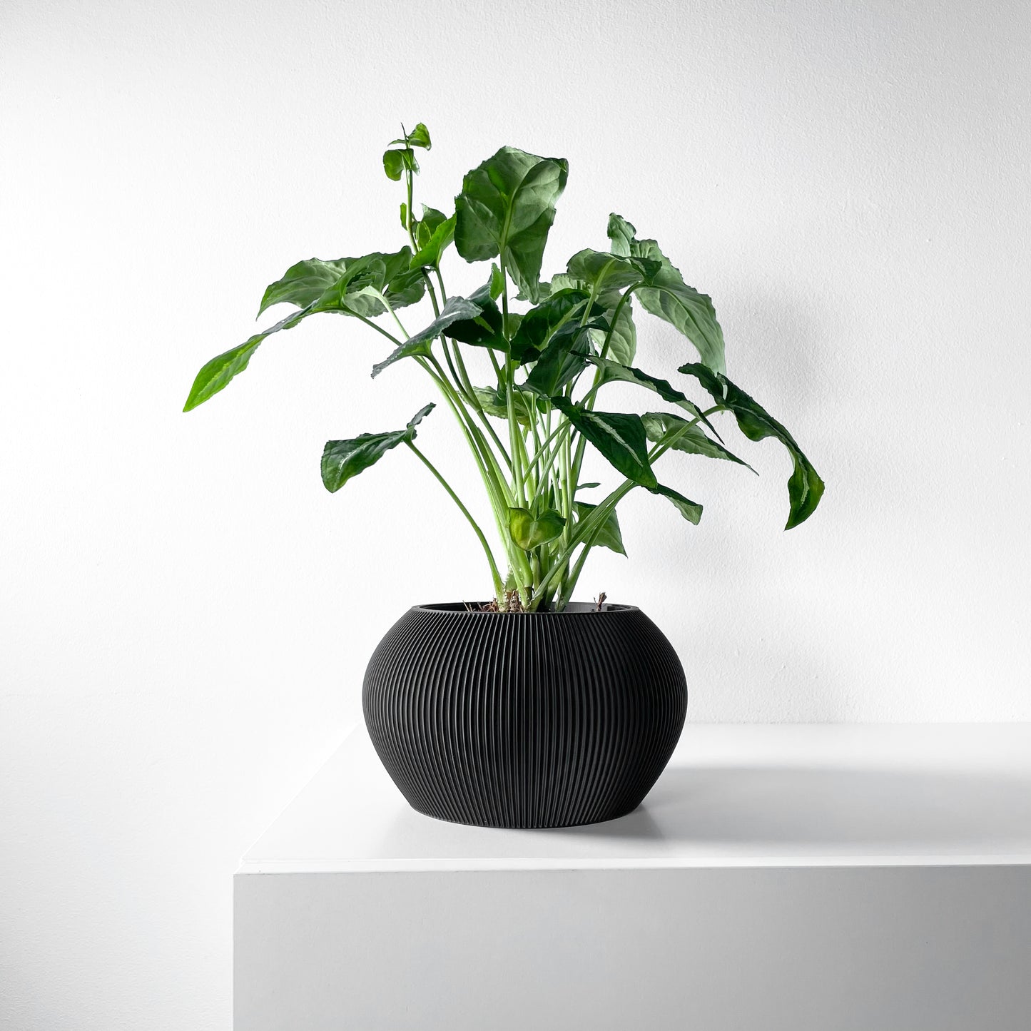 Aeris Blumentopf