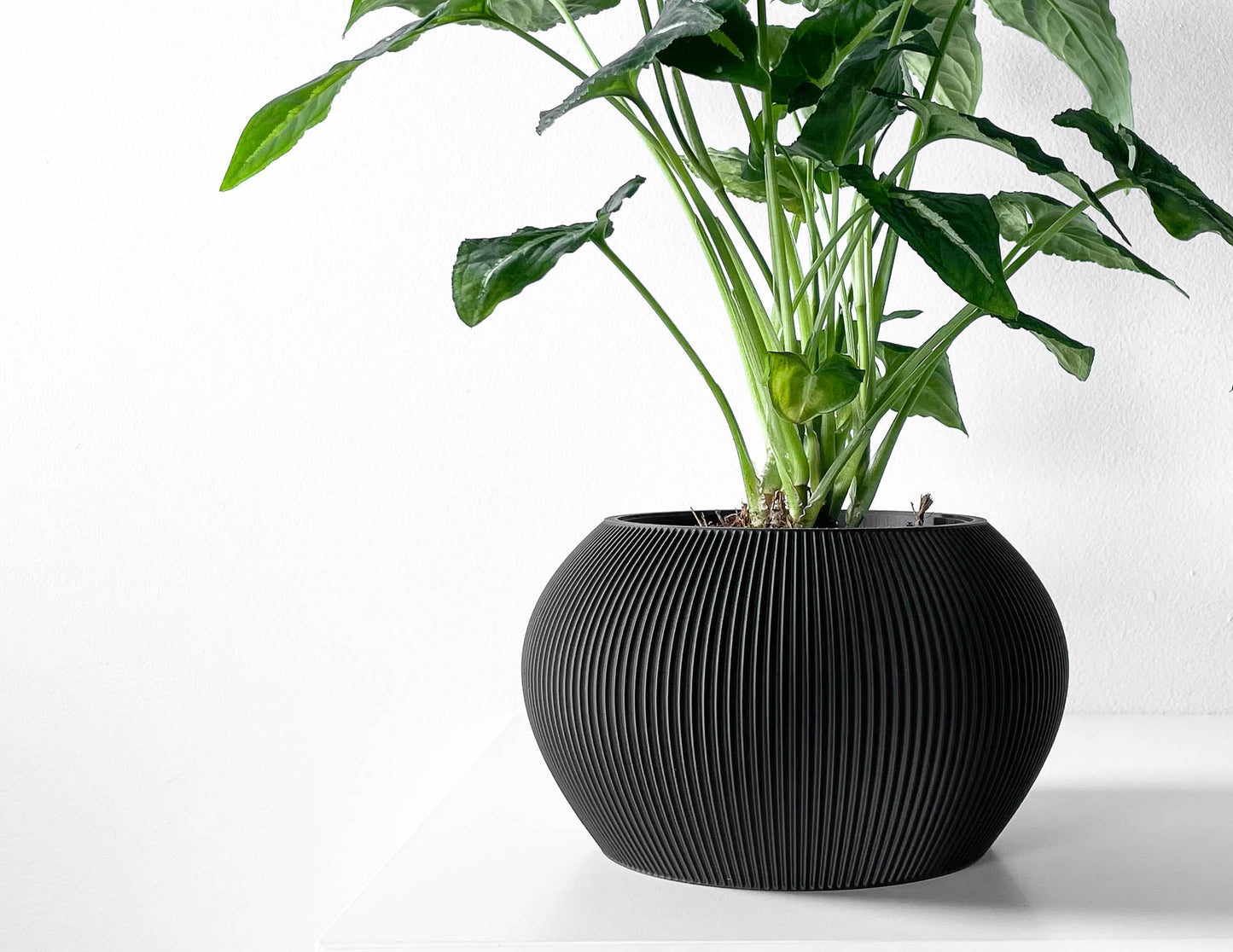 Aeris Blumentopf