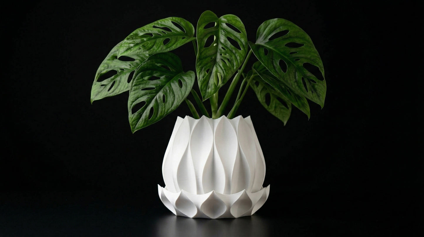 Flora Blumentopf