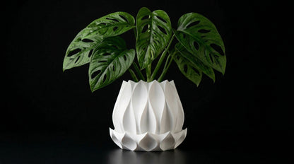 Flora Blumentopf