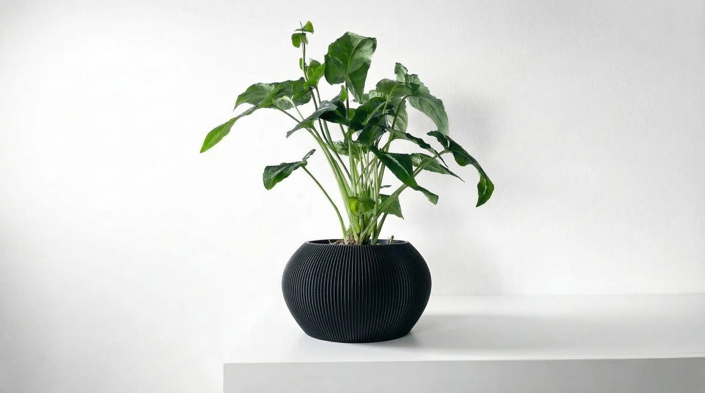 Aeris Blumentopf