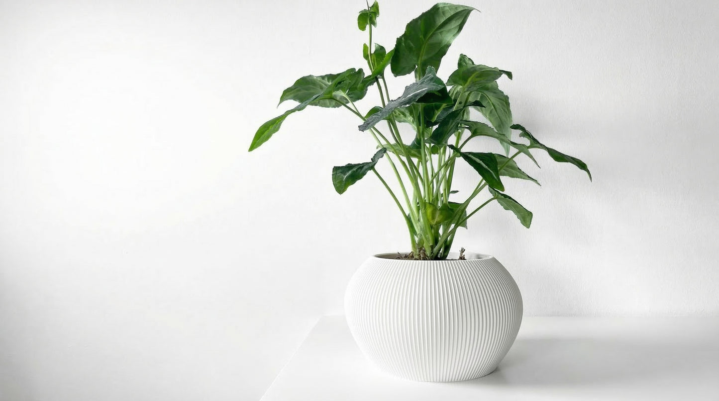 Aeris Blumentopf