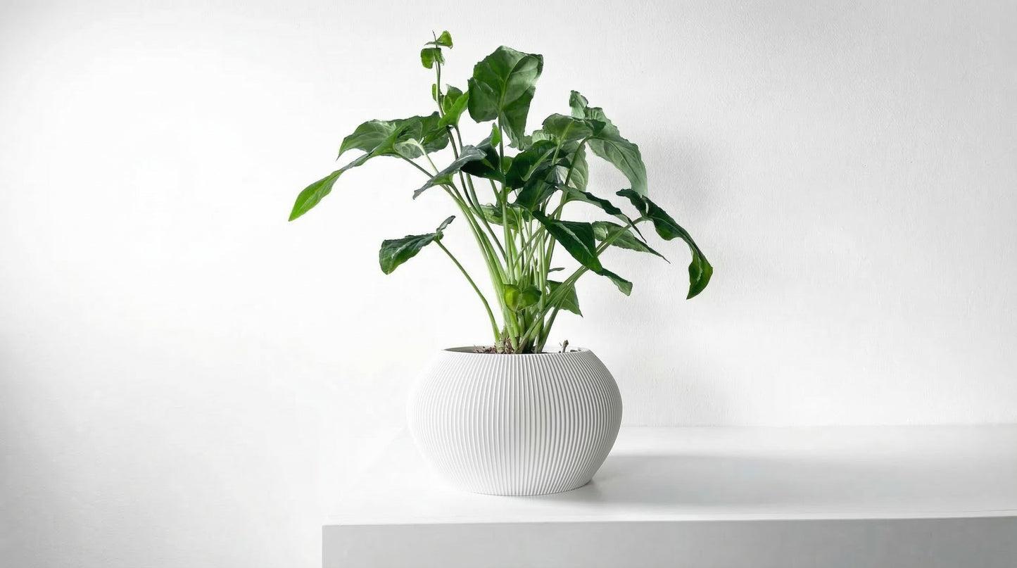 Aeris Blumentopf