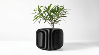 Caela Blumentopf