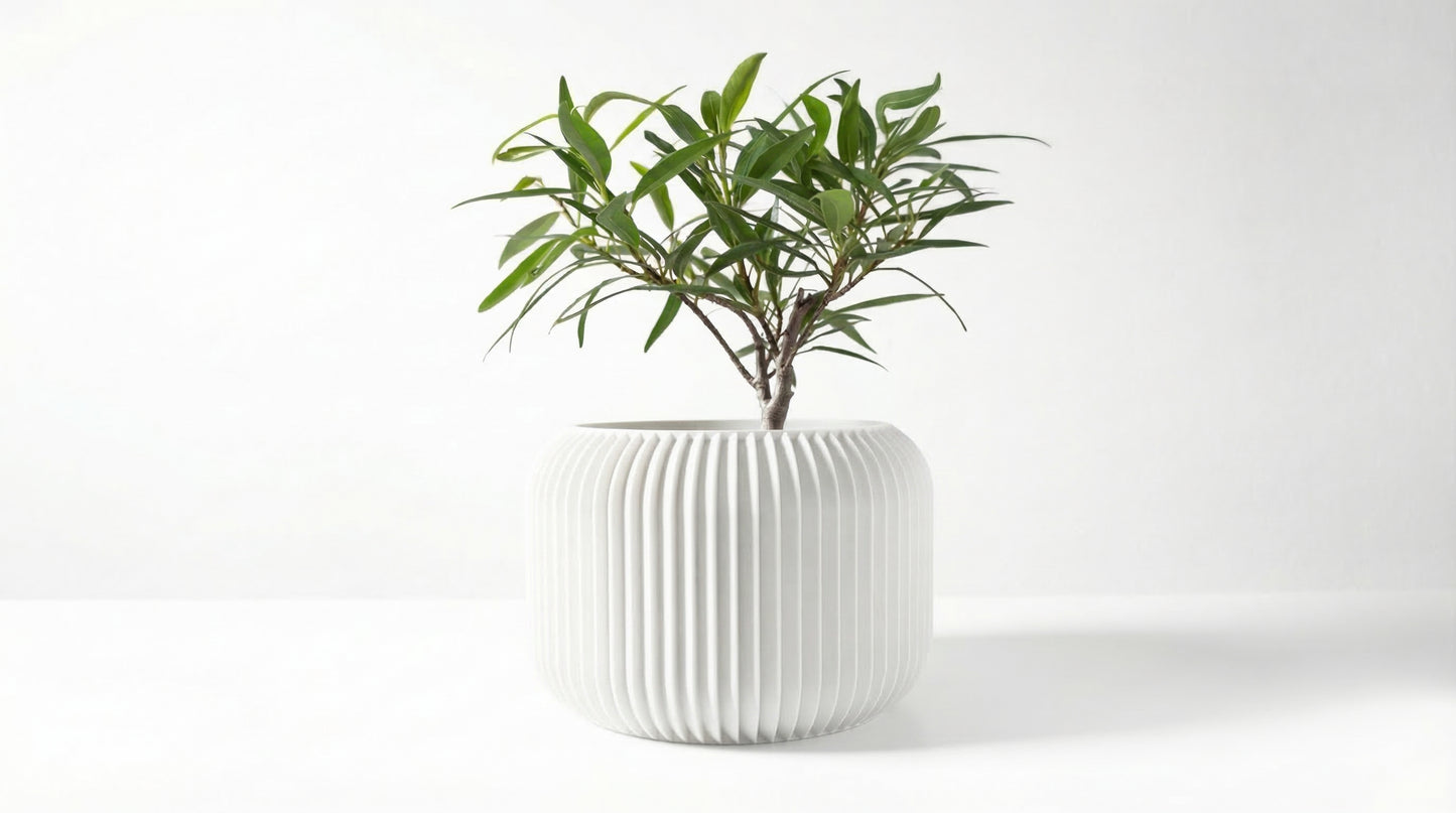 Caela Blumentopf