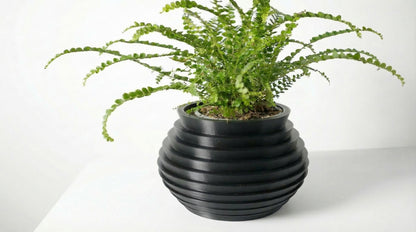 Nila Blumentopf