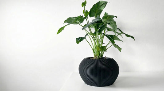 Aeris Blumentopf