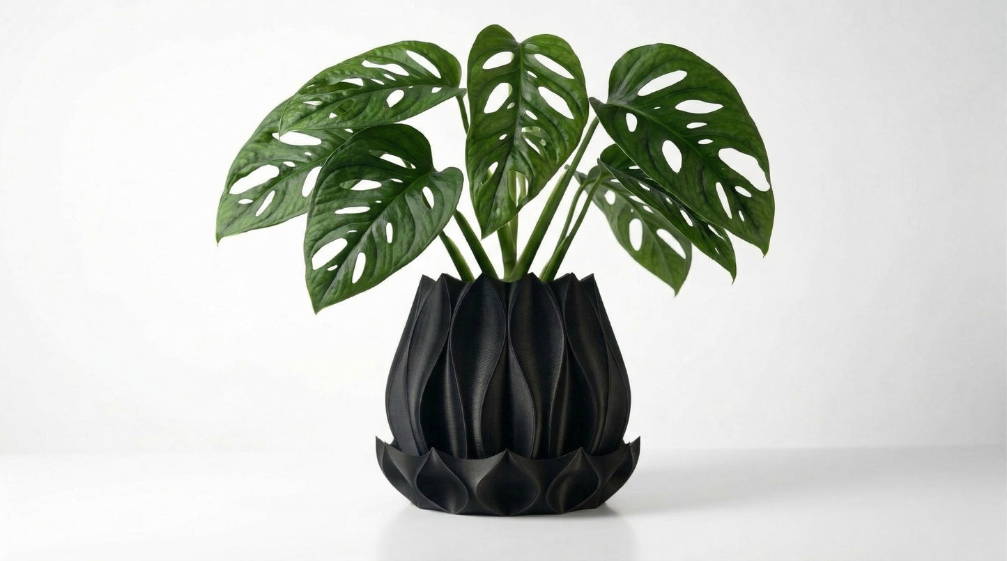 Flora Blumentopf
