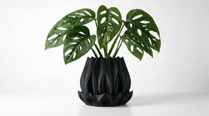 Flora Blumentopf