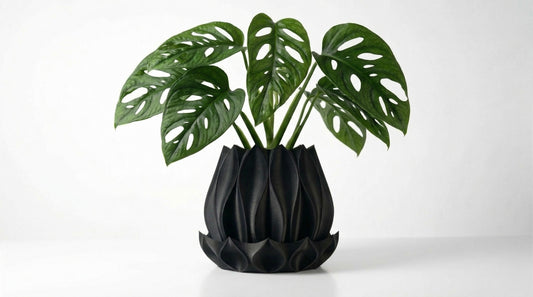 Flora Blumentopf