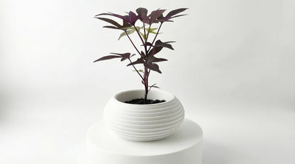 Orbit Blumentopf