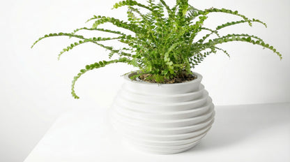 Nila Blumentopf