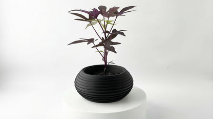 Orbit Blumentopf