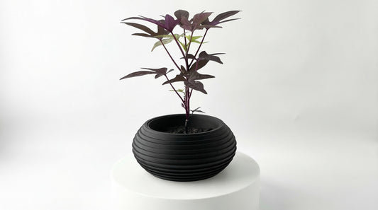Orbit Blumentopf