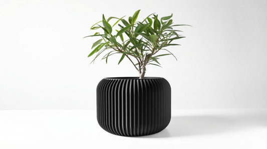Caela Blumentopf
