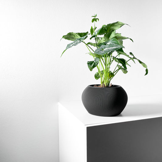 Aeris Blumentopf