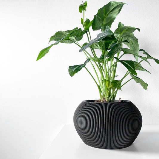 Aeris Blumentopf